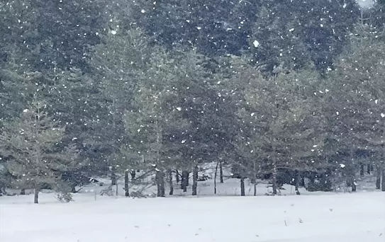 Bolu Yaylalarında Kar Yağışı Başladı