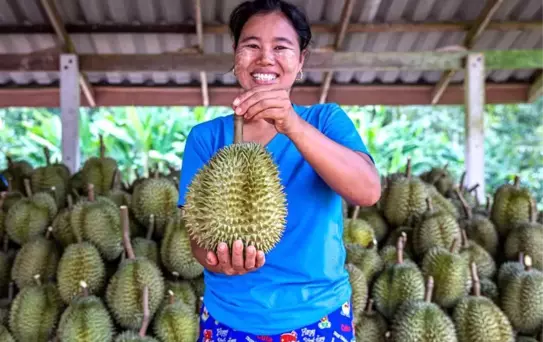 Wuhan ile Bangkok Arasında Yeni Hava Kargo Rotası