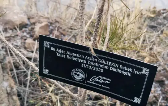 Talas Belediyesi'nden geleceğe nefes: Her bebek için bir fidan