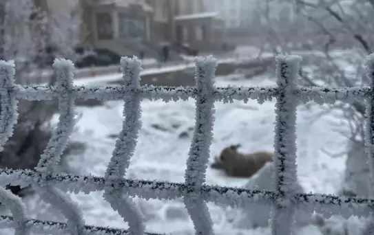 Kent buz kesti, dışarı çıkanların kaş ve kirpikleri donuyor