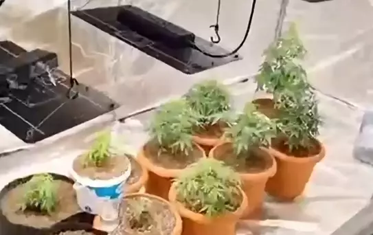 Geyve'de Hint Keneviri Operasyonu