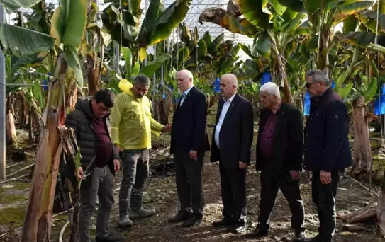 Manavgat'ta Hortum Zararları İncelendi