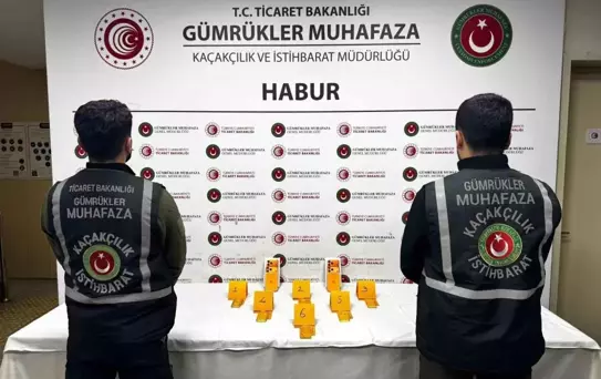 Şırnak'ta 41 kg Altın Kaçakçılığı