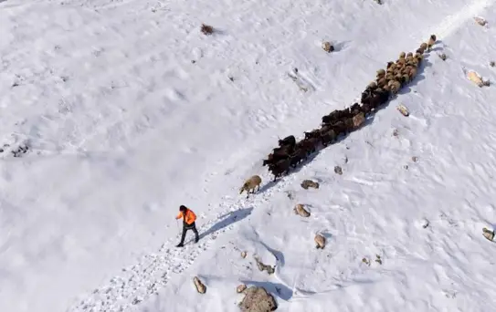 Mazıdağı'nda Kar Zorluğu