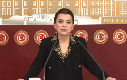 DEM Parti'den Terörsüz Türkiye ve Kobani'ye Yardım Çağrısı