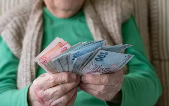 Vatandaşlık maaşında detaylar netleşti! İşte yardım yapılacak kalemler