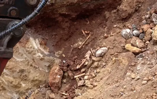 Antalya'da belediye kazısında kemik parçaları bulundu