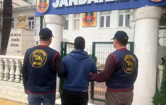 Çeşme'de Hükümlü Jandarma Operasyonu ile Yakalandı
