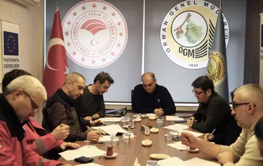 Orman Yangınlarına Doğa Temelli Çözümler