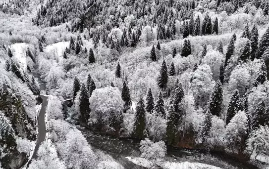 Kar Yağışı Ordu ve Rize'yi Beyaza Bürüdü