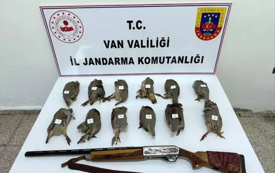 Erciş'te Kaçak Avcıya 81 Bin Ceza