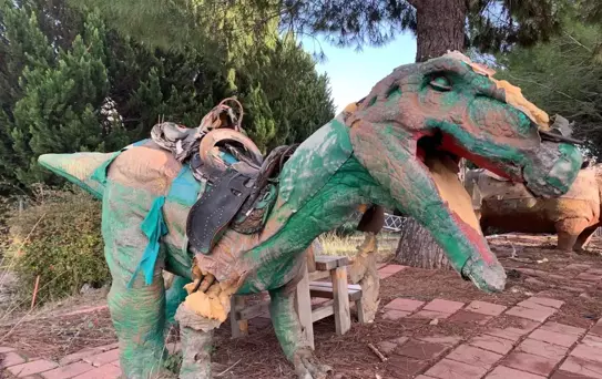 Dinozor Park'ta Kuş Yuvalarına Saldırı