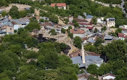 Elazığ'da hayvanlarda görülen çiçek hastalığı nedeniyle 6 köy karantinaya alındı
