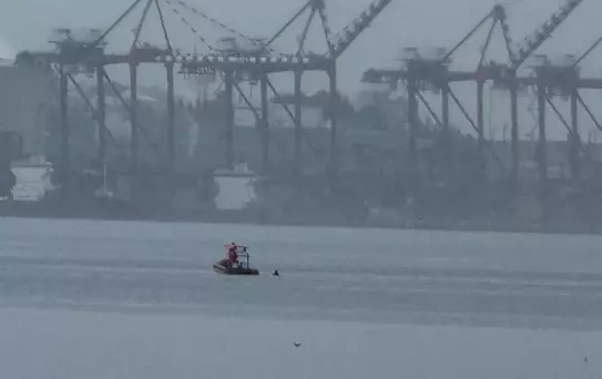 Gemlik'te Denizde Erkek Cesedi Bulundu