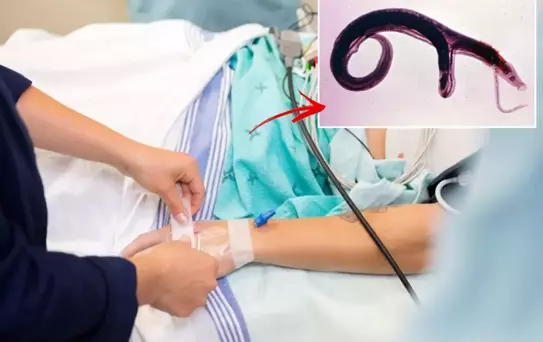 DSÖ'den küresel alarm! Cinsel organlara yerleşen parazit evrim geçirdi, yeni ülkelere yayılabilir