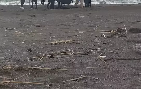 Dalaman'da Parçalanmış Erkek Cesedi Bulundu