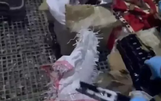 İzmir'de Güvercin Kümesinde Silah Operasyonu