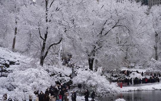 ABD'de aşırı soğuk dehşeti! Can kaybı sayısı arttı