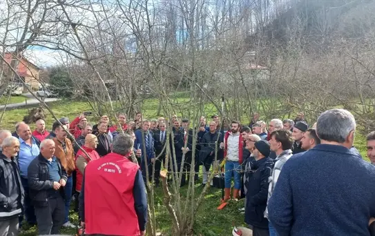 Samsun'da Fındık Yetiştiriciliği Toplantısı