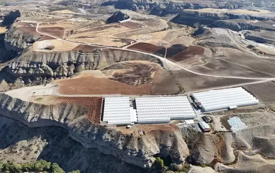 Adıyaman'da Süs Bitkisi Üretimi