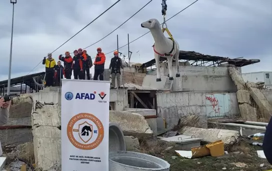 Hayvanların Acil Durumda Korunması Projesi
