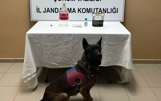 Çorum'da Uyuşturucu Operasyonu