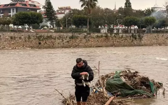 Alanya'da Sürüklenen Kedi Kurtarıldı