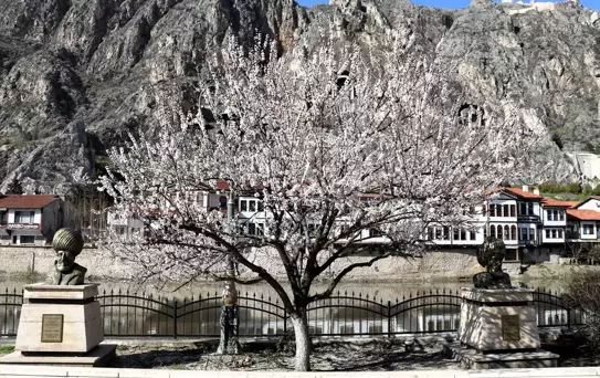 Amasya'da Bahar Şöleni