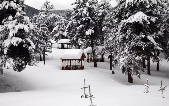 Ardahan ve Kars Beyaza Büründü