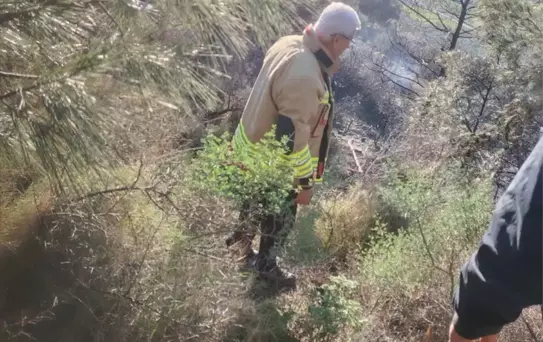 Hatay'da Orman Yangını Söndürüldü