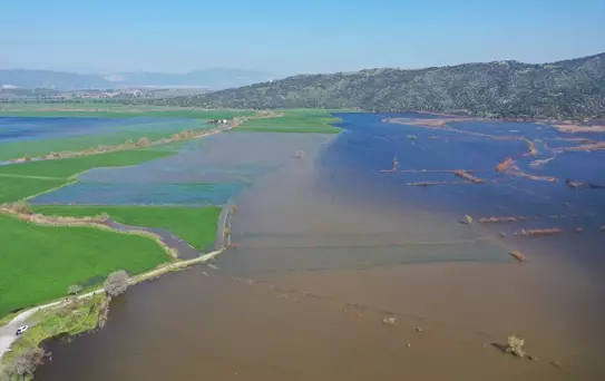 Söke'de Taşkın: Tarım Arazilerinde Balık Avı