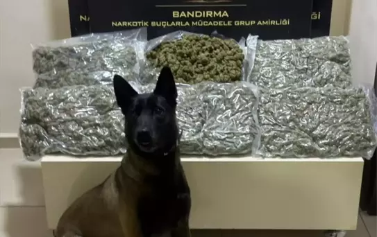 Balıkesir'de Uyuşturucu Operasyonu: 3 Tutuklama