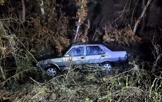 Bozüyük'te Otomobil Devrildi, Sürücü Yaralandı