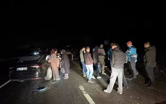 Bingöl'de Ata Çarpan Otomobilde 4 Yaralı