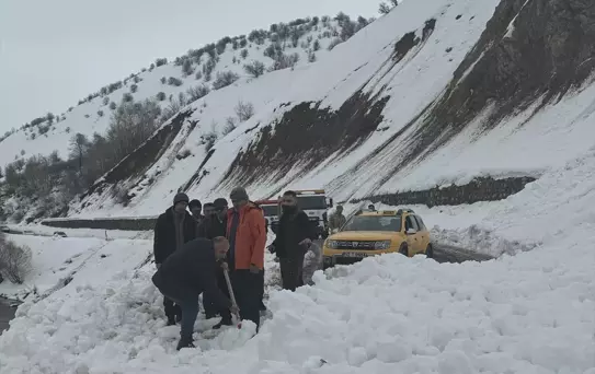 Bingöl'de Çığ Yolu Kapadı