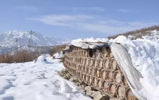 Hizan'da Arılar Kışla Mücadele Ediyor