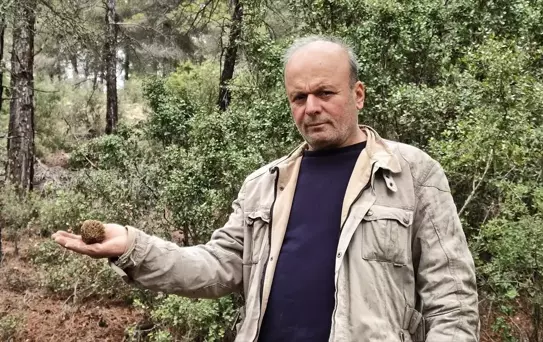 Kuzugöbeği Mantarlarında Sezon Başladı