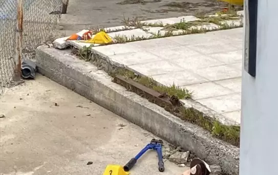 Elektrik Direğinde Can Veren Adam