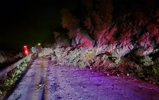 Mudanya'da Toprak Kayması: Yol Kapatıldı