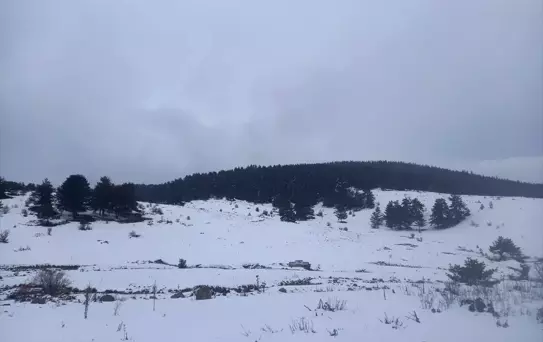 Çankırı'da Kar Yağışı Etkili Oluyor