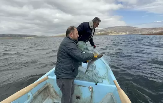 Çekerek Barajı'nda Su Seviyesi İki Kat Arttı