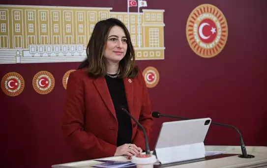 Aysu Bankoğlu'ndan Esnaf İçin Faizsiz Dondurma Çağrısı