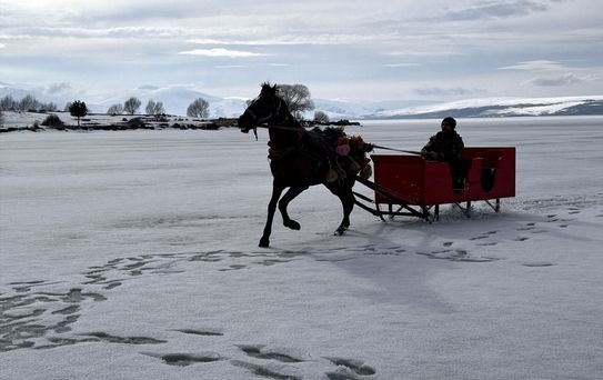 Çıldır Gölü'nde Atlı Kızak Sezonu Sona Erdi
