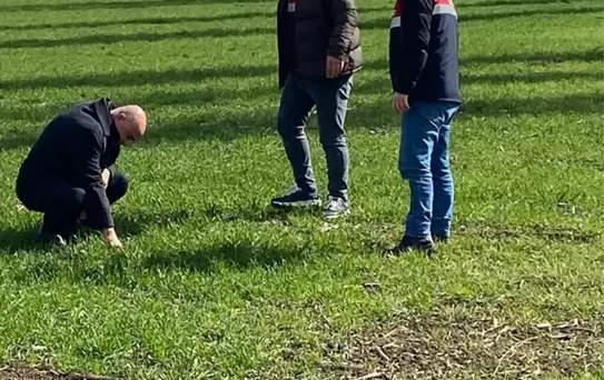 Çorum'da Hububat Alanlarında Kontroller Devam Ediyor