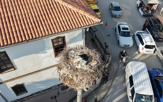 Leylekler Çubuk'ta Geri Döndü