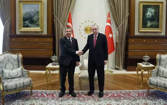 Cumhurbaşkanı Erdoğan, KKTC Başbakanı Üstel'i kabul etti