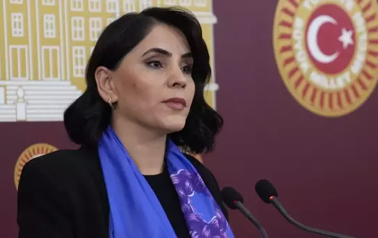 DEM Parti Milletvekillerinden Meclis'te Basın Toplantısı