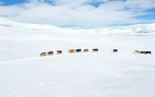 Ağrı'da İlkbahar Kışı Aratıyor