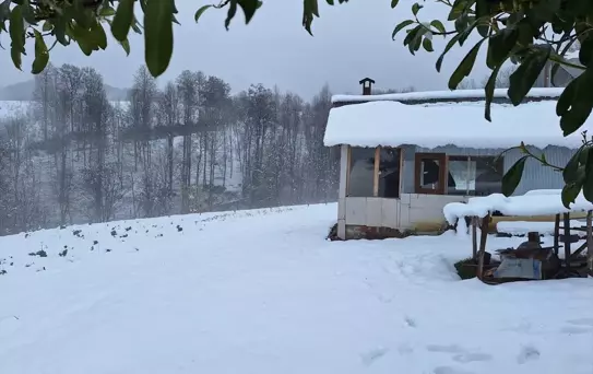 Düzce'de Kar Yağışı Etkili Oldu