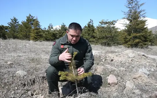 Erciyes'te 7 Milyon Fidan Dikildi